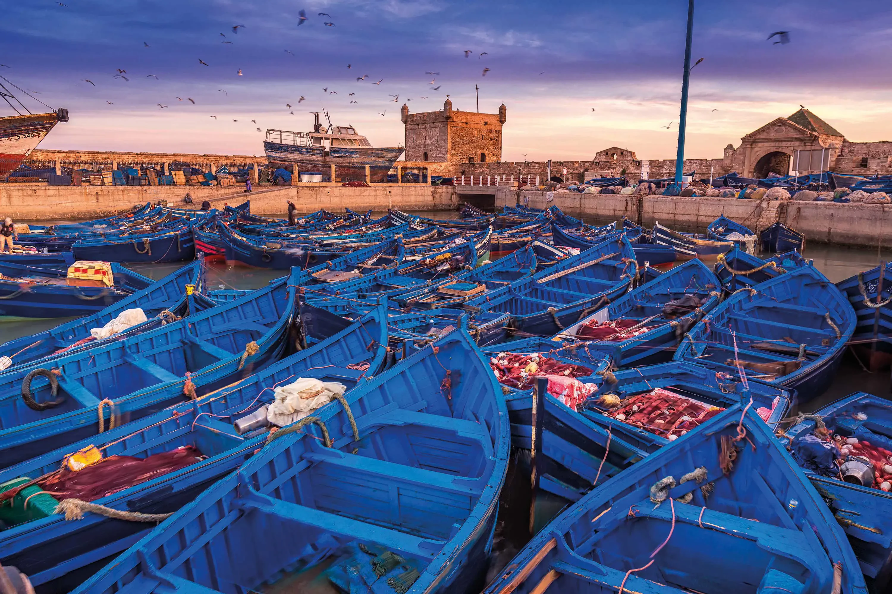 Essaouira Day Trip