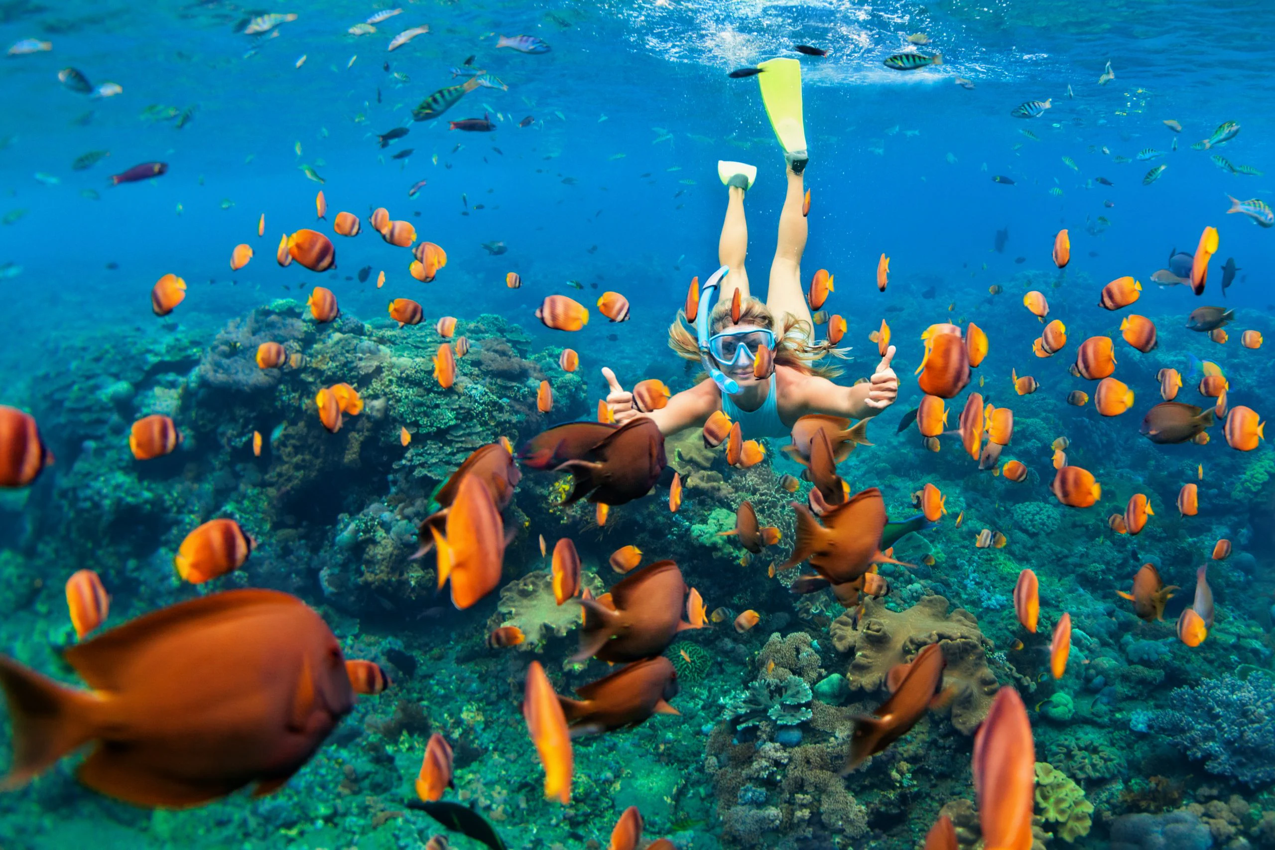 Maldives Snorkeling Adventure