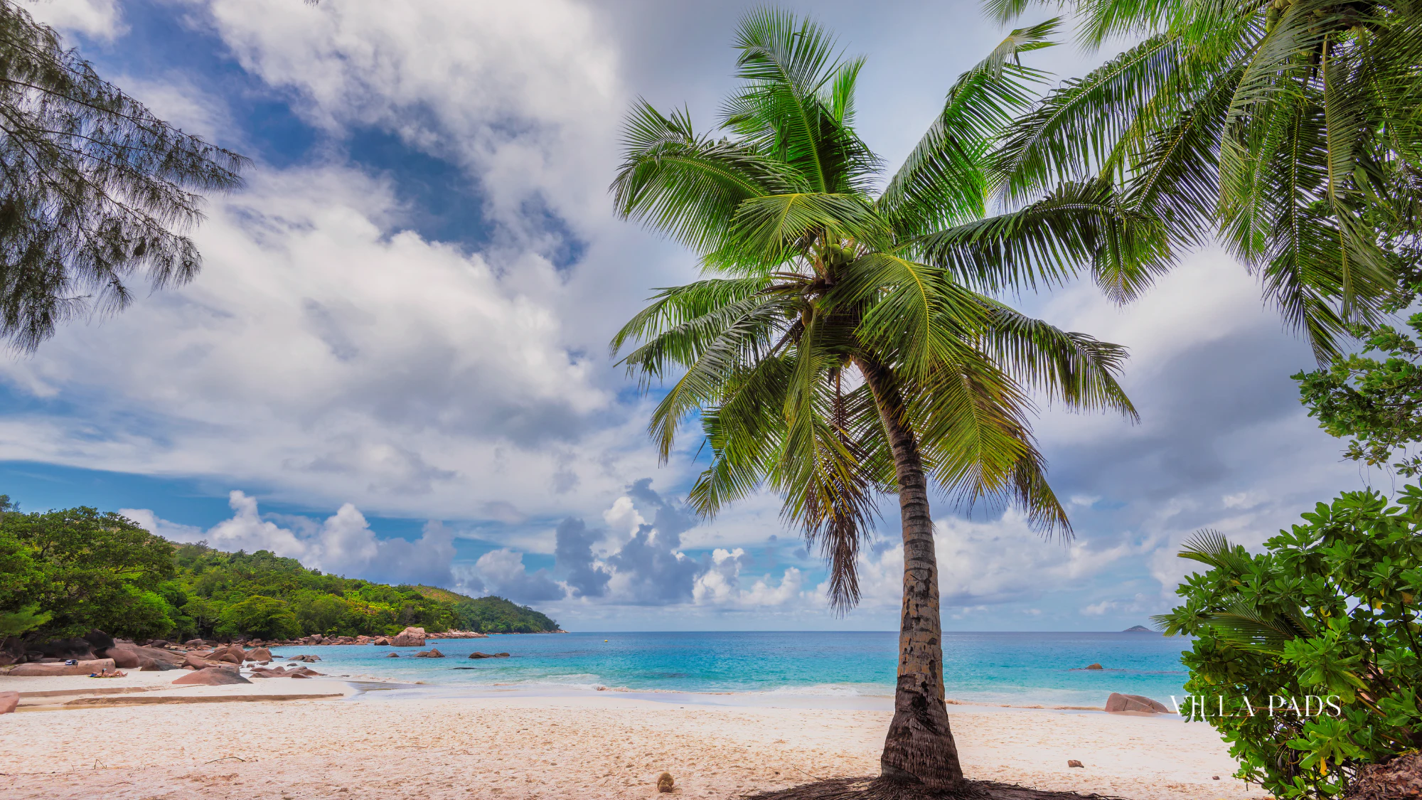 Harbour Island Pink Sand Beach