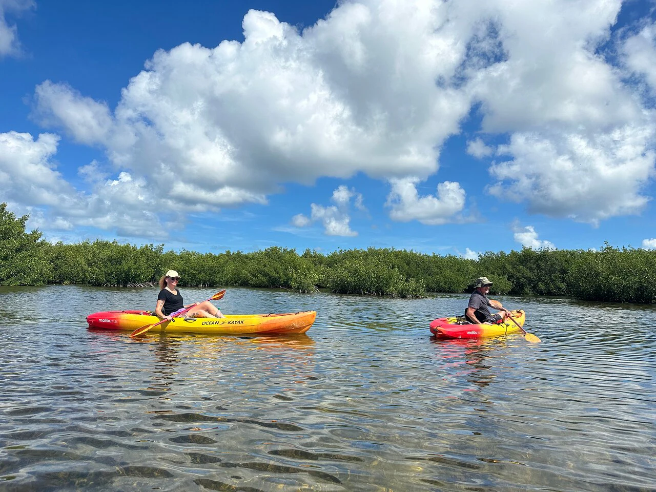 Islamorada Mangrove Kayak