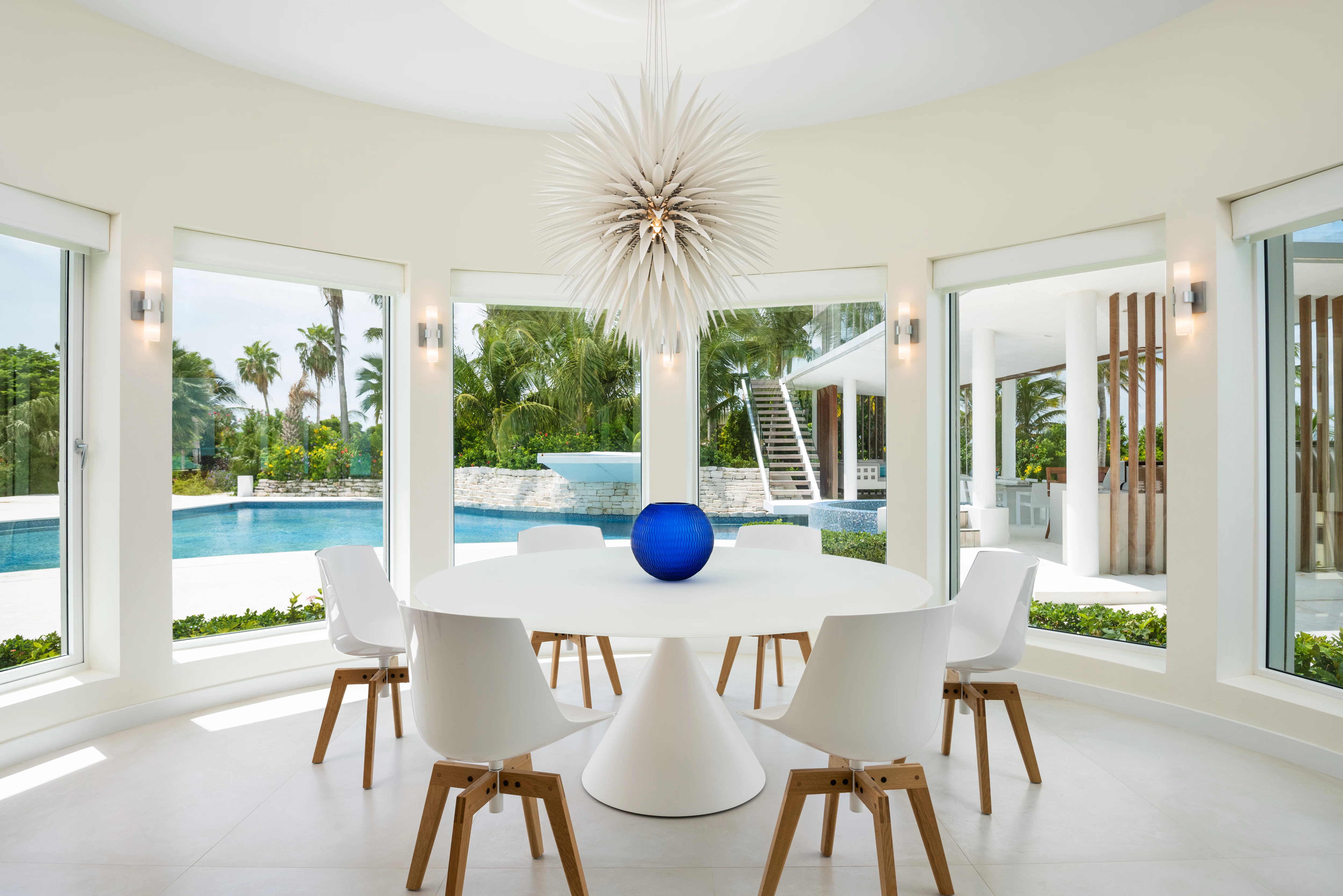 Salacia 04 in Turks and Caicos