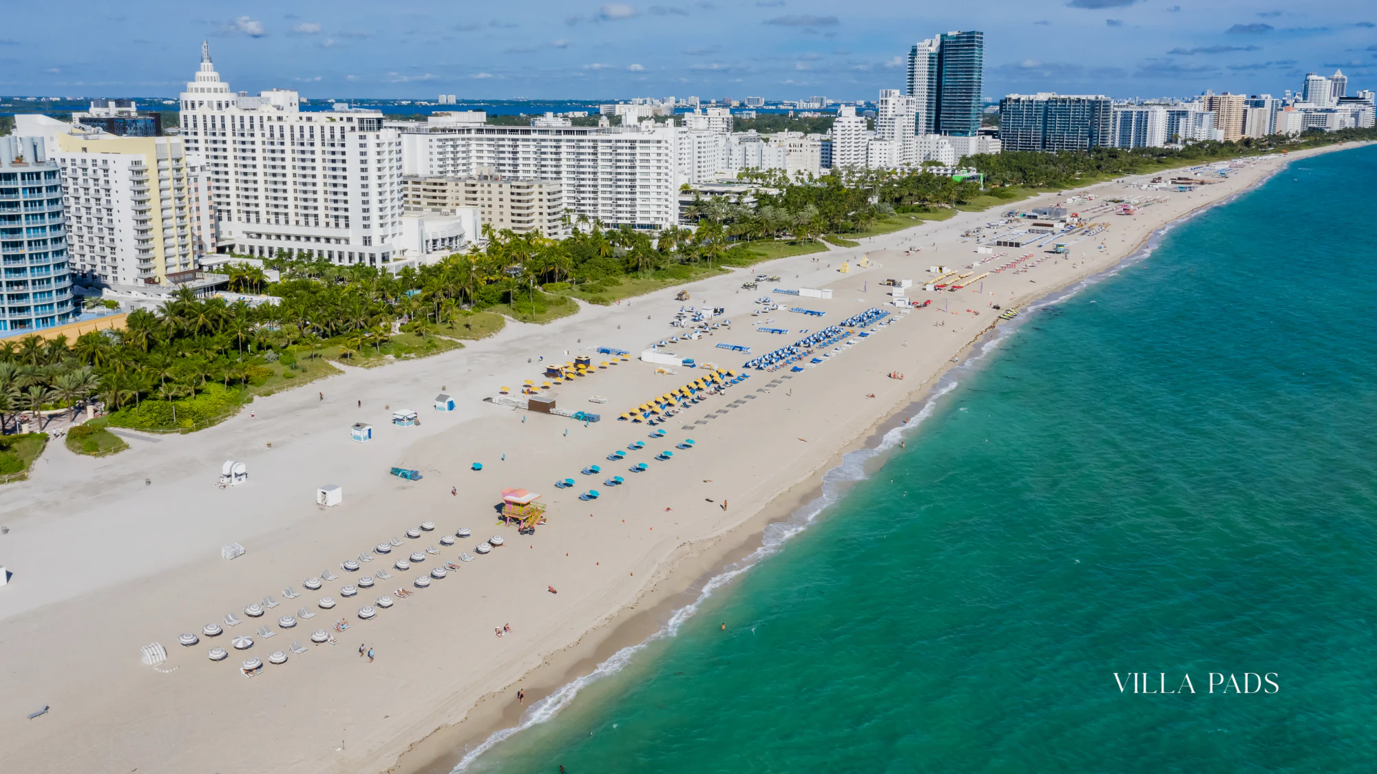 The Best Fall Events In Miami A Seasonal Guide For Luxury Travelers