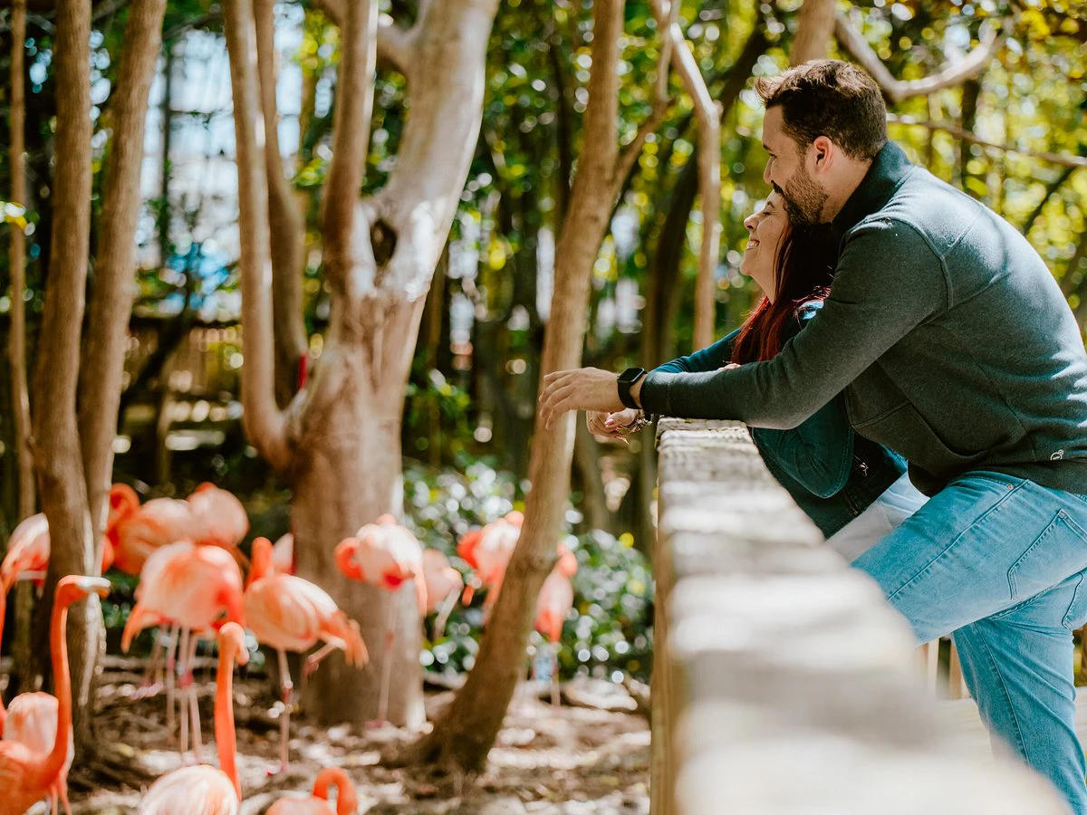 Family Jungle Island Miami