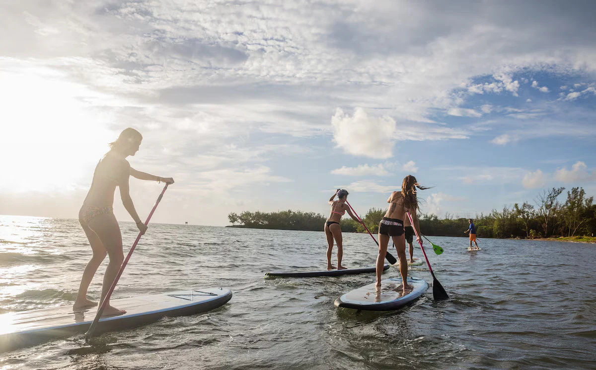 Miami Work Break Paddleboard