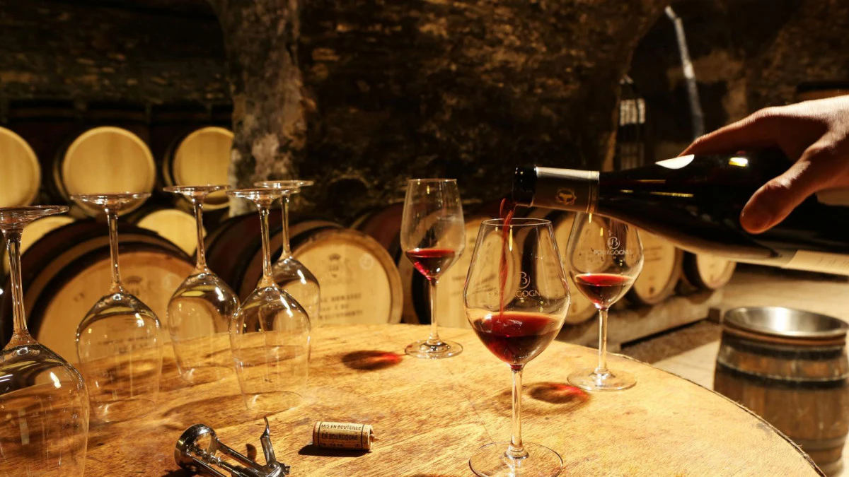 Burgundy French Wine Dining