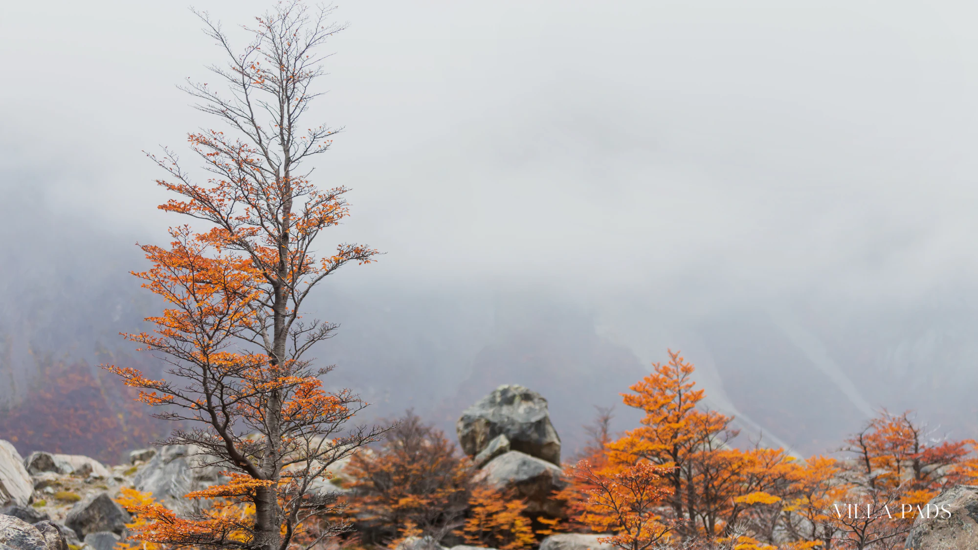 Anguilla Seasonal Events