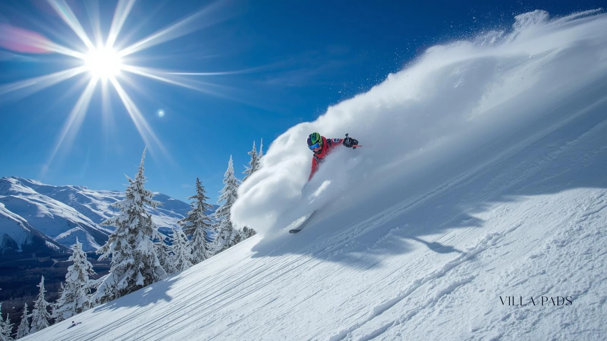 Vail Back Bowls Powder Skiing