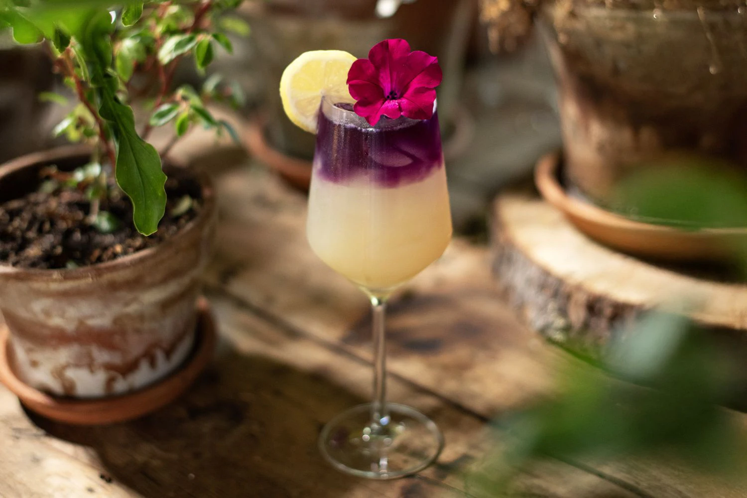 Coconut Grove Mocktails