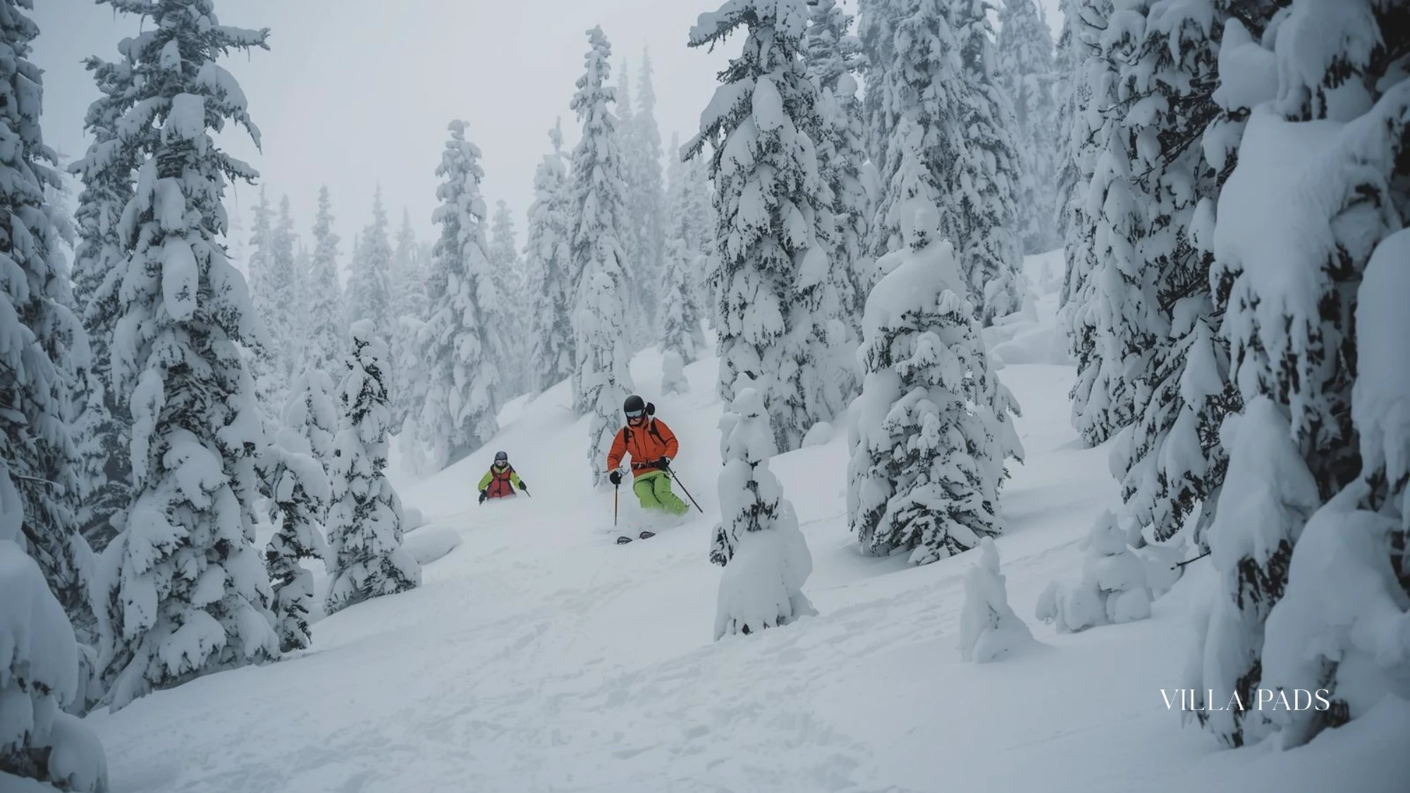 Blue Sky Basin Glade Exploration Vail