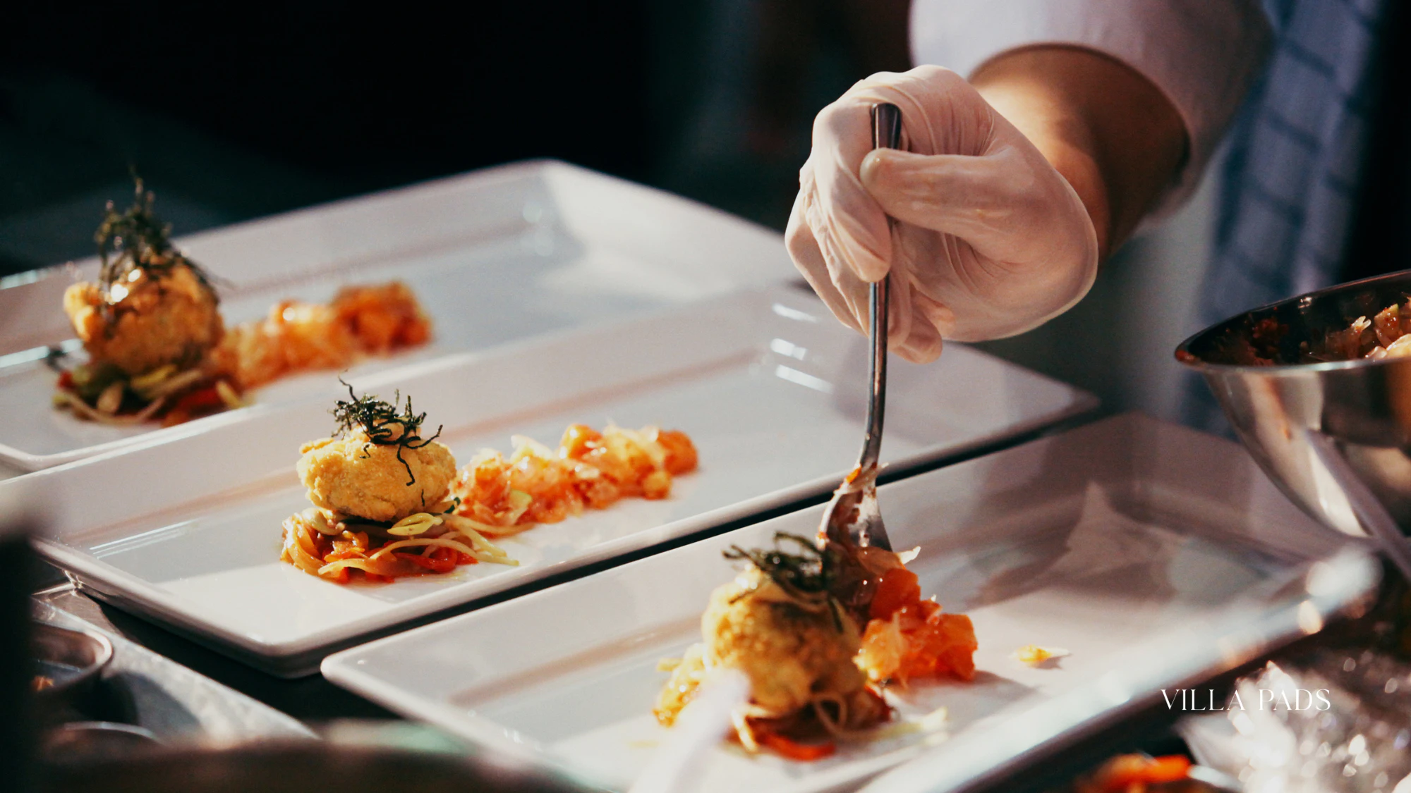 Aspen Private Chef Dinner Villapads