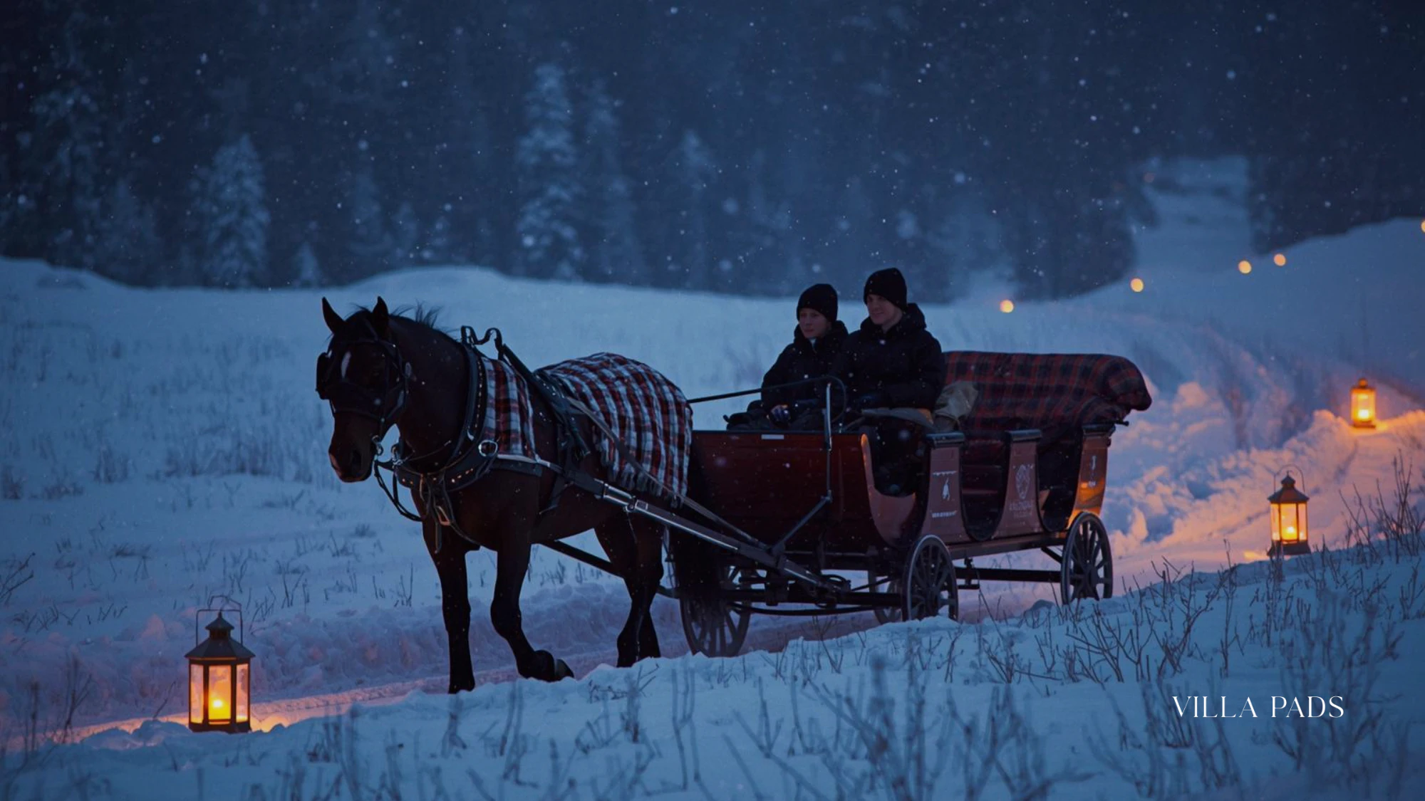 Vail Horse Drawn Sleigh Ride Dinner