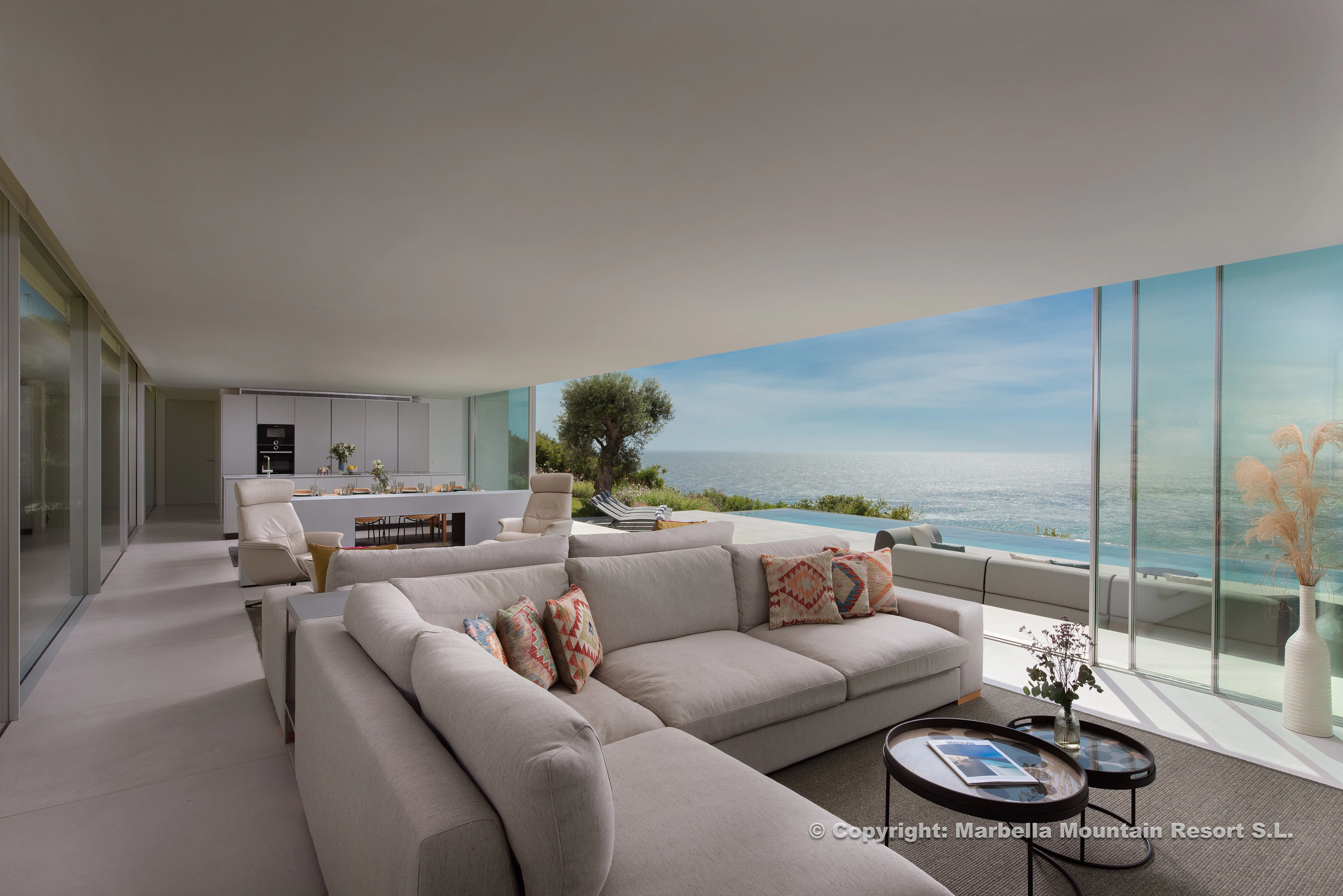 Living Room 2 in Marbella