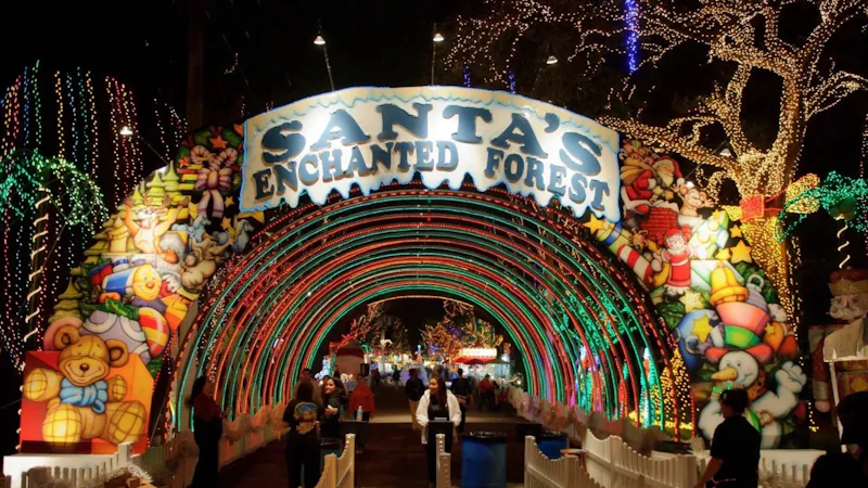 Santa's Enchanted Forest