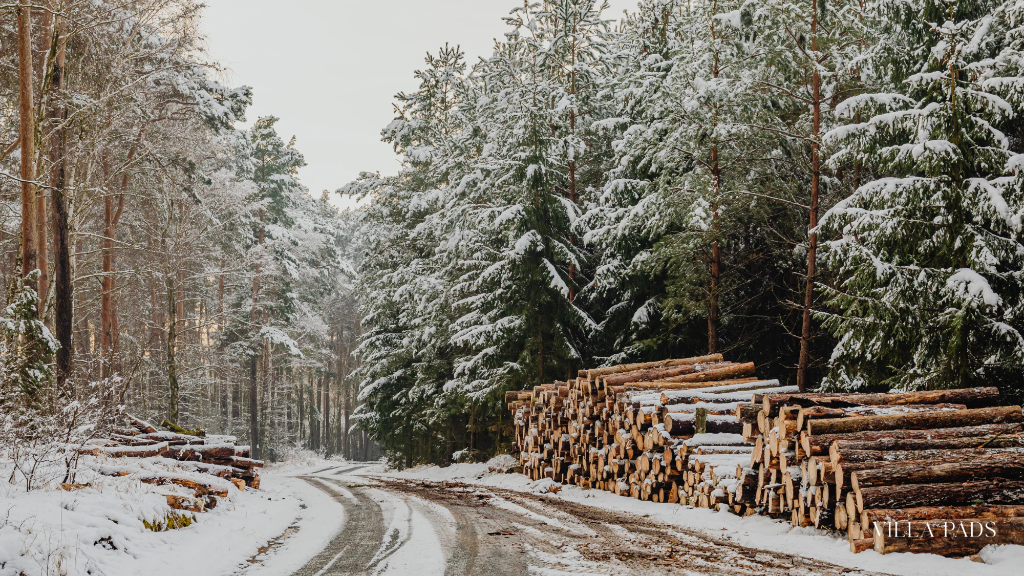 Anguilla Season Climate