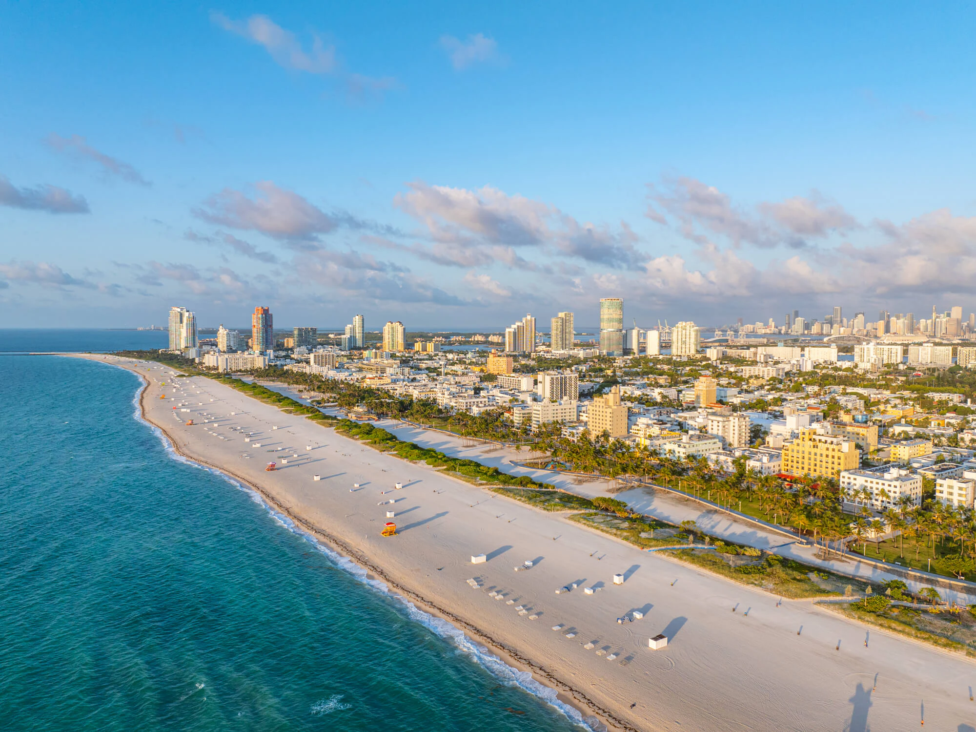 Why The Bugs Exhibit At Frost Museum Is A Must See