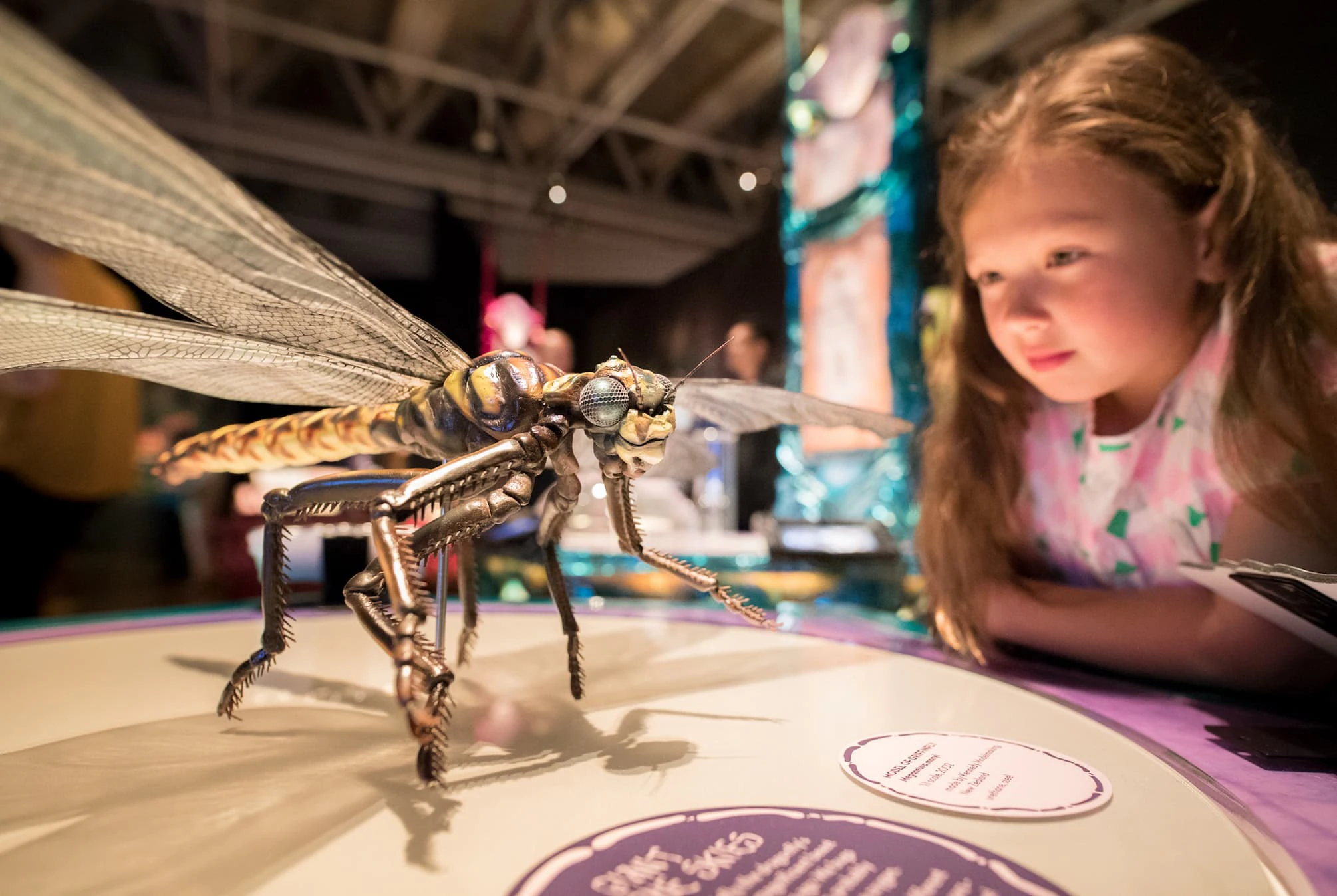 Bugs Exhibit Interactive