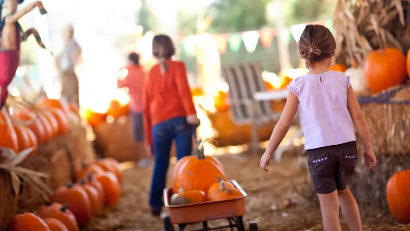 Miami Fall Family Activities