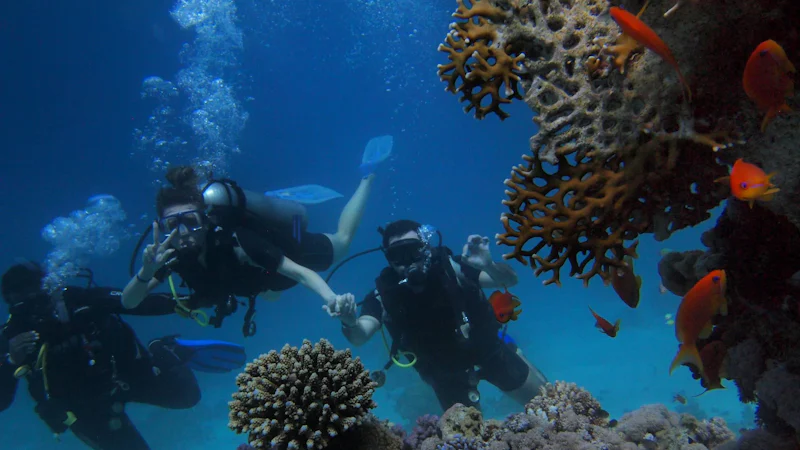 Family Snorkeling Adventure Turks Caicos