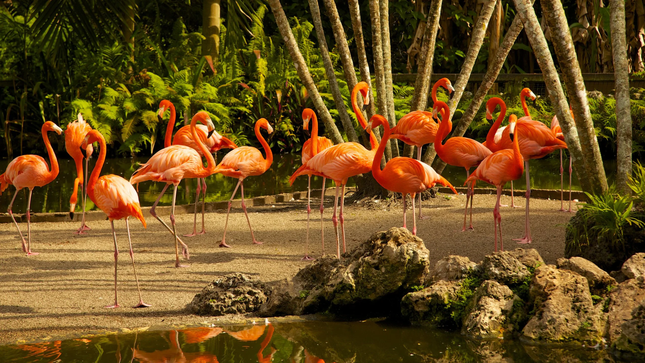 Flamingo Gardens Davie Florida
