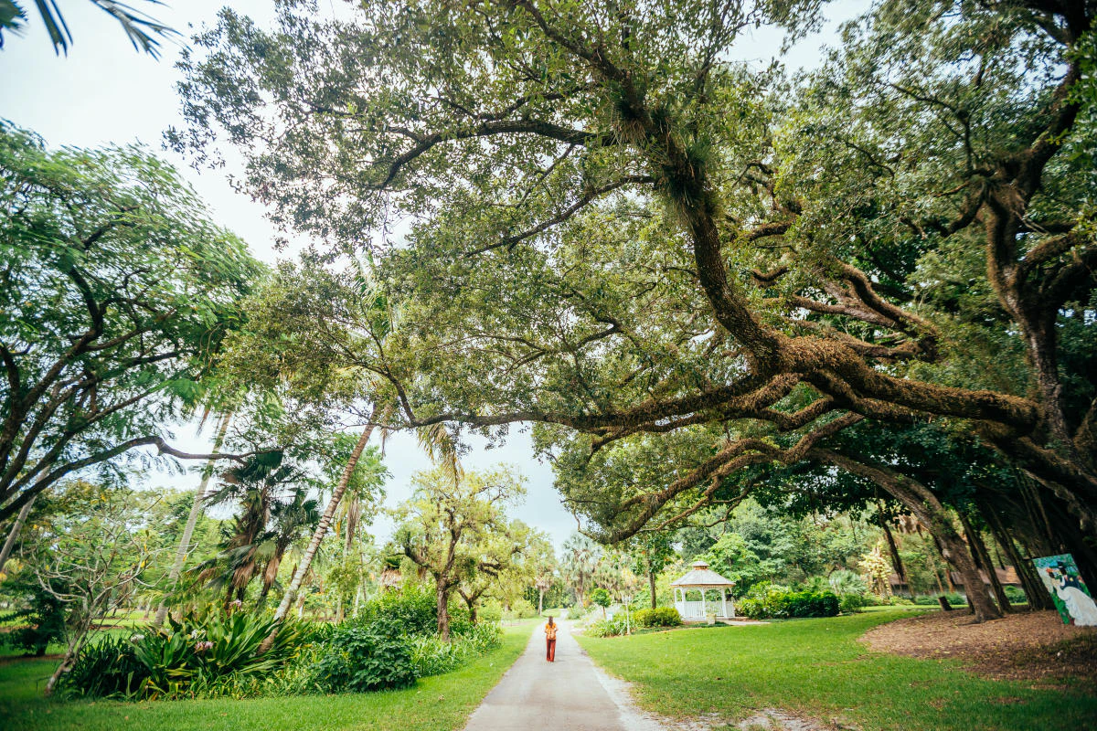 Tree Tops Park Nature Trails Davie