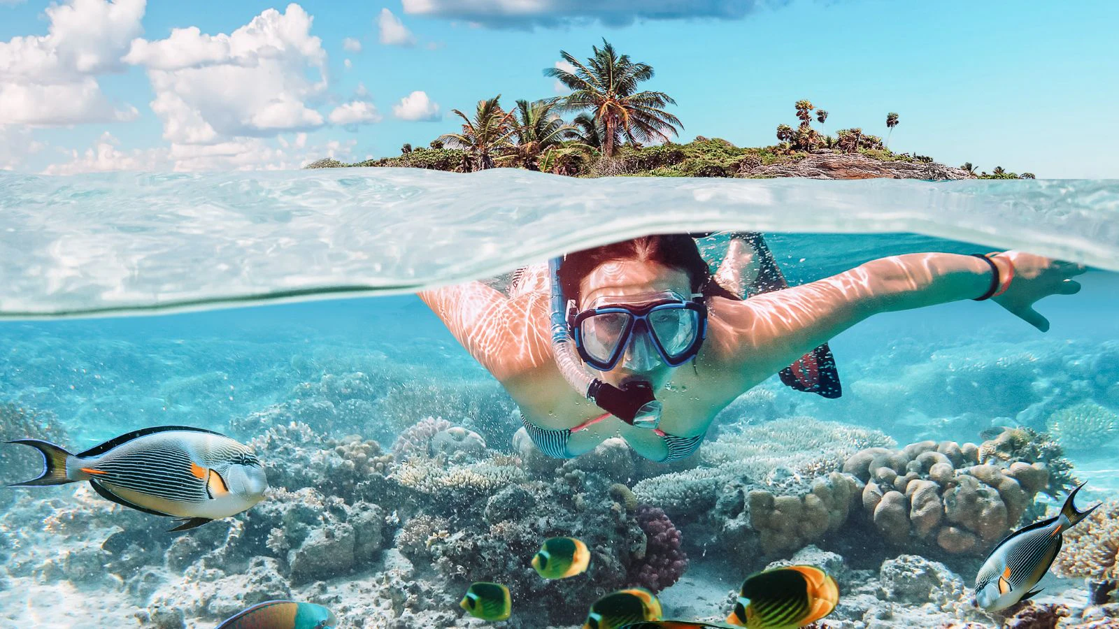 Turks And Caicos Water Sports