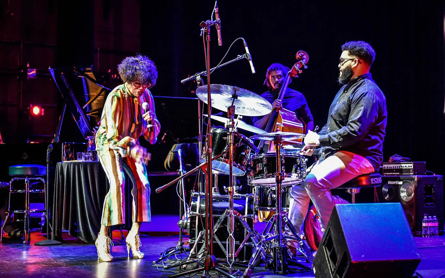 Miami Jazz Festival Concert Villa Views