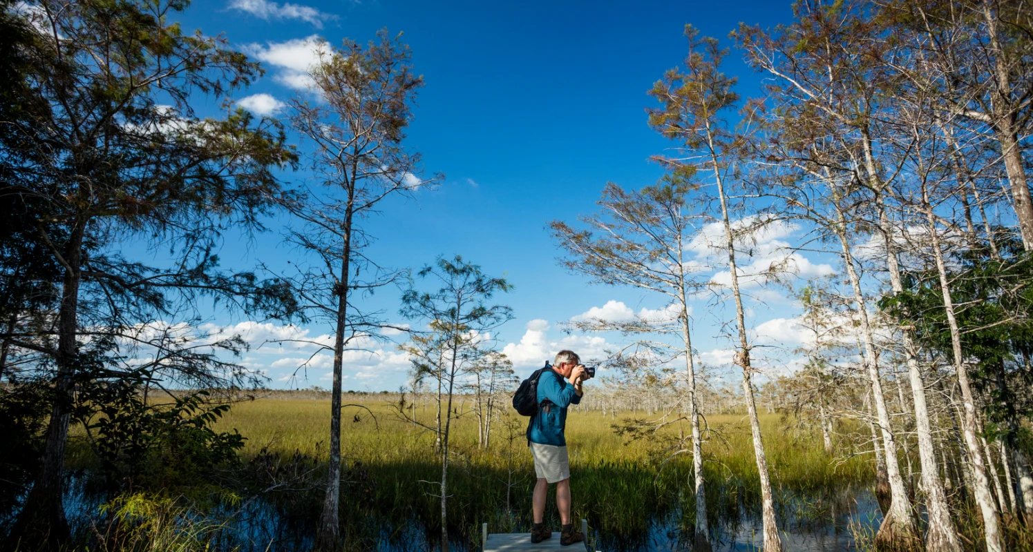 Big Cypress Hiking Trail