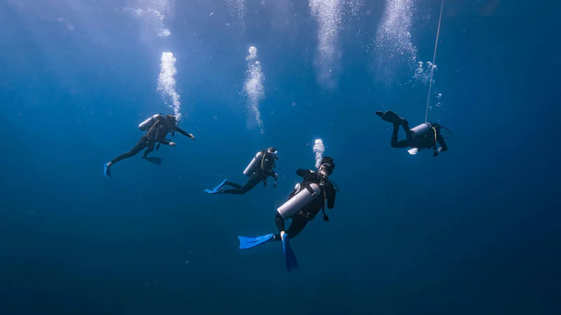 Scuba Diving Caribbean Reef Adventure